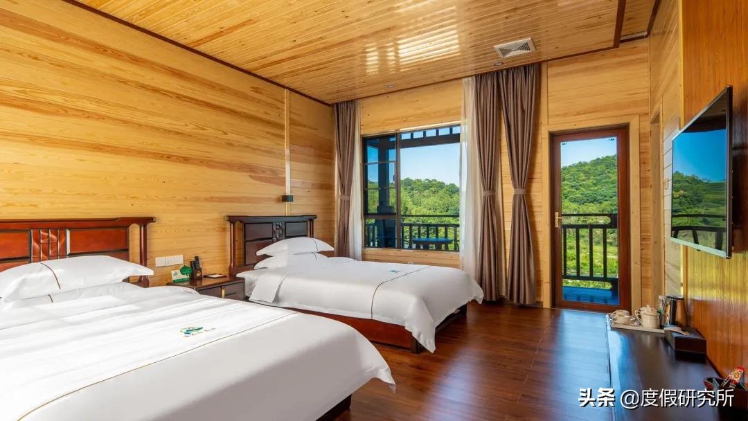 森林和山水,森林公园和森林湖畔