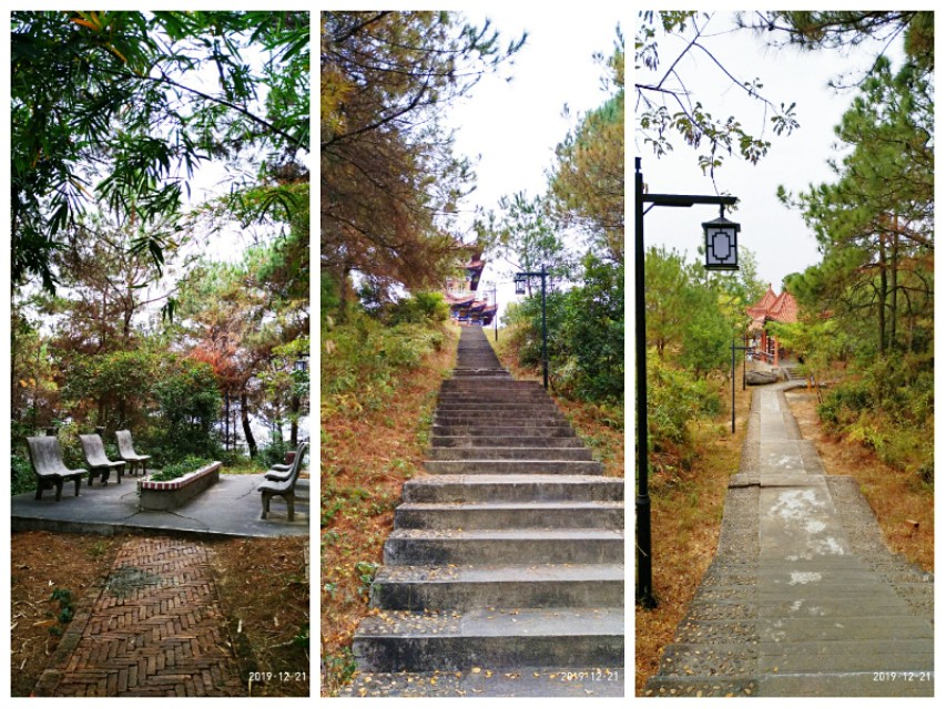 双鹤起舞松林醉——游灵山双鹤公园偶感