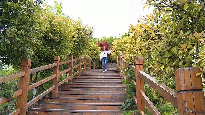 天桥沟玻璃栈道一日游,芙蓉山风景区玻璃滑道