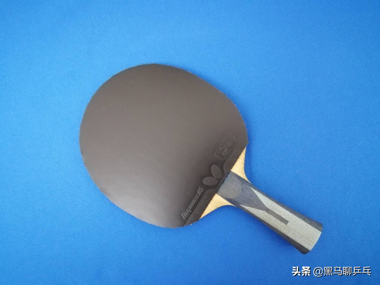 每周乒乓球观察视频,每周观察记录