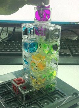 沉迷于游戏的孩子和学霸对比,学霸和学渣玩儿游戏