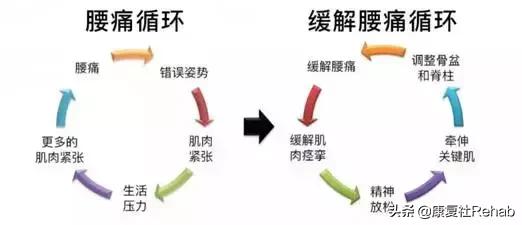 运动康复训练100个方法,最新运动康复训练下肢方法