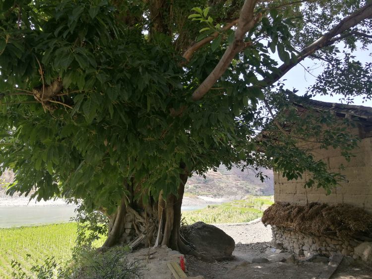 中国女兵讲历史视频,女兵讲述军人故事