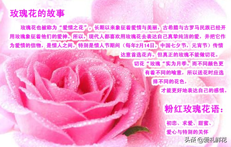 小清新花束送女朋友花束推荐,送女朋友鲜花是礼盒还是花束