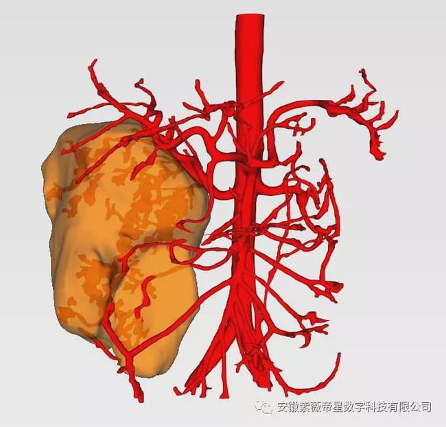 紫薇帝星穴,紫薇帝星医疗科技