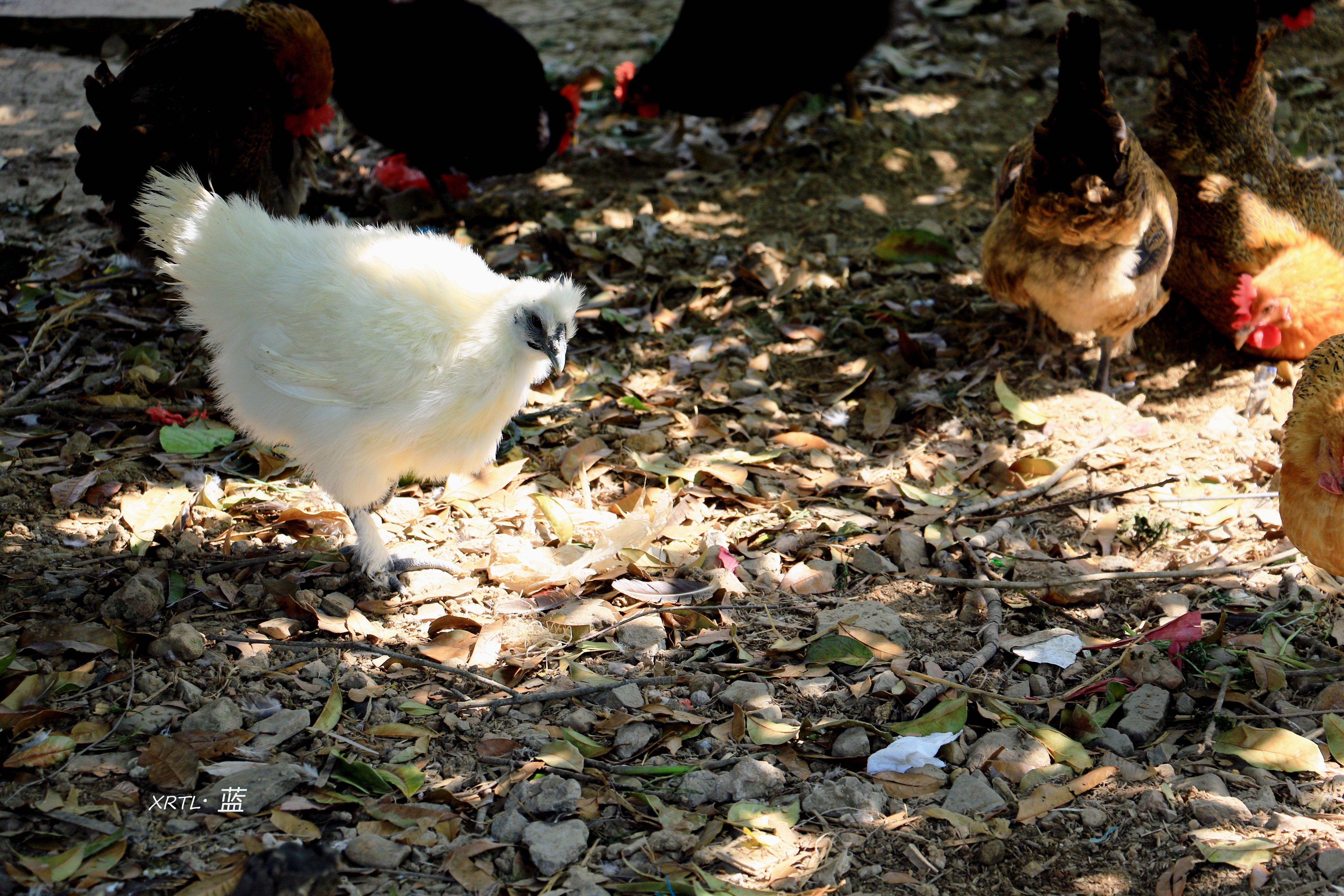 南京周边一天半游的绝佳去处,疫情后南京出游