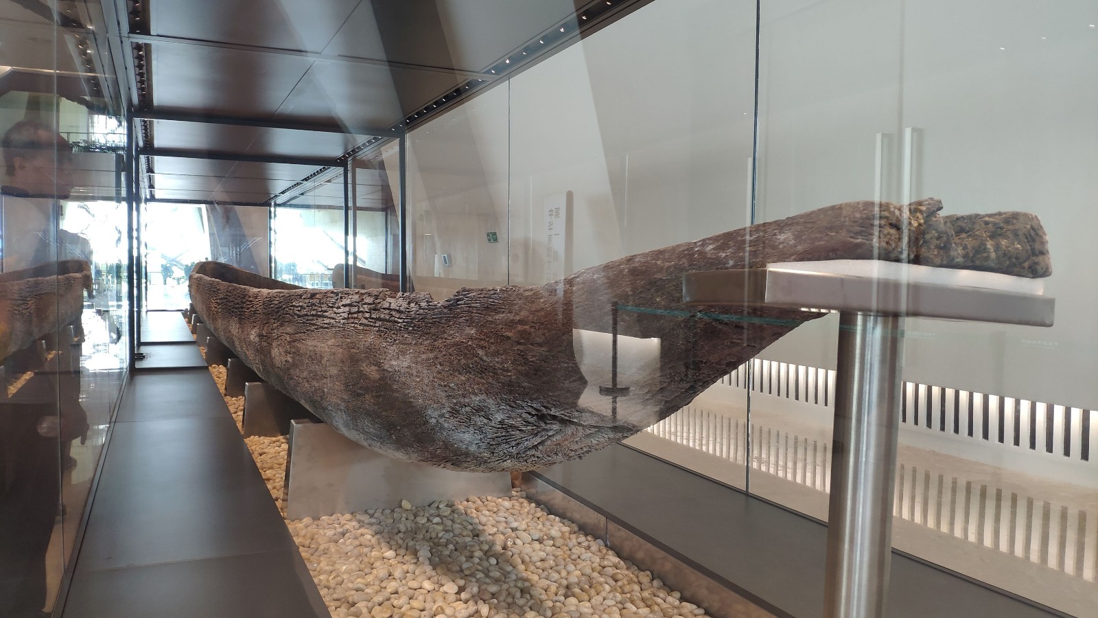 海洋博物馆带孩子游玩攻略,国家海洋博物馆最全攻略来了