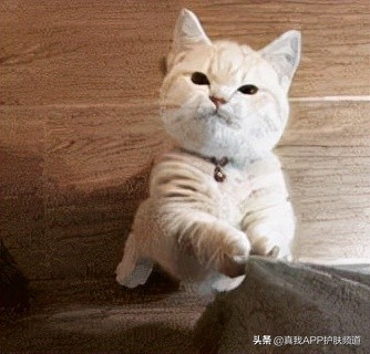 刷酸应该怎么刷,刷酸应该去医院的什么科室