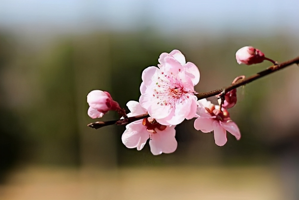 彼此嫌弃互相治愈,相互嫌弃相互治愈
