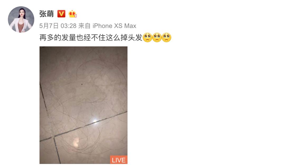 张雨绮宁静互动视频,伊能静宁静张雨绮怼节目组