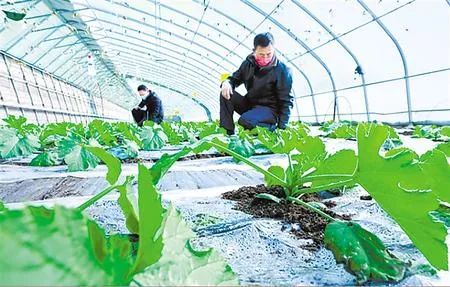 脱贫攻坚书写乡村振兴新画卷,书写新时代奋斗征程新篇章