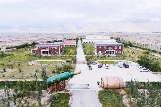 在*疆新**,谁才是“果界一哥”?