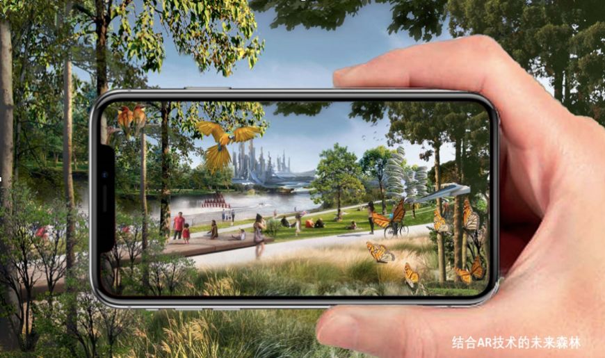 通州最新森林公园,通州南部公园