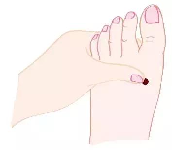 含铁的食物适合经期,维生素c和含铁的食物