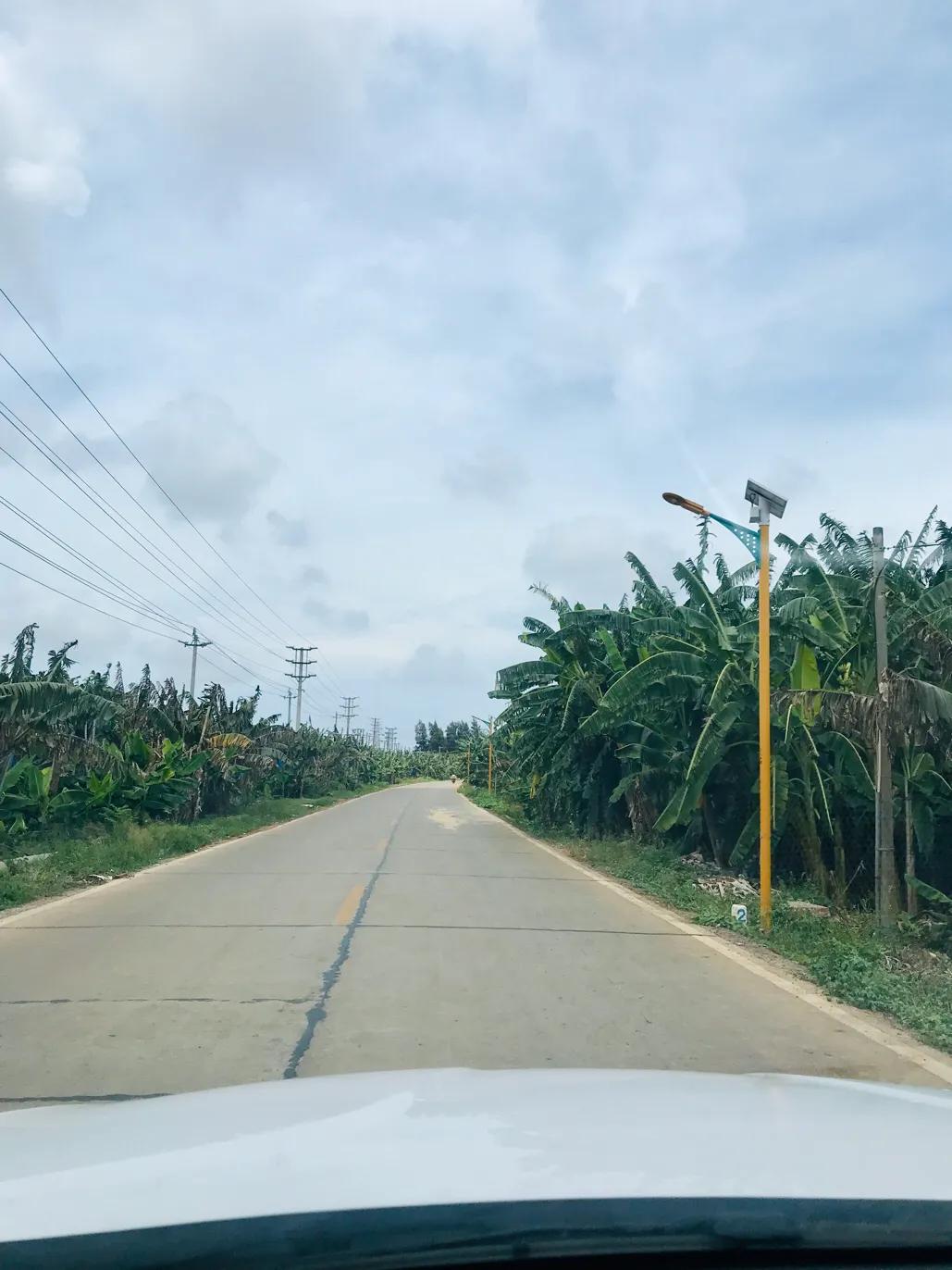 硇洲岛徒步环岛旅行,硇洲岛的旅游指南