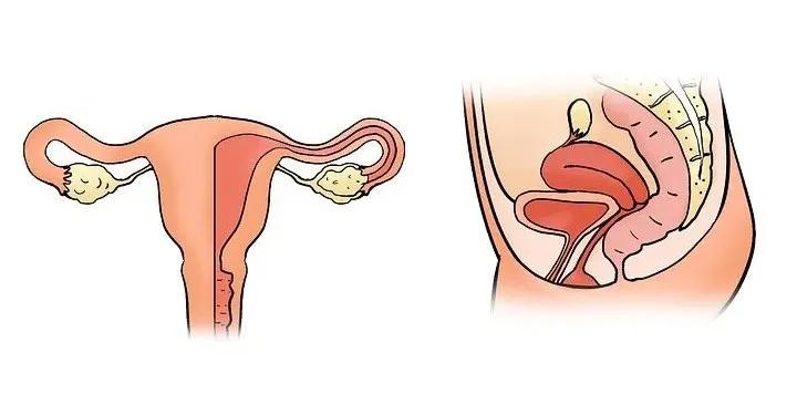 关于产后恢复的6大黄金期，你漏掉了哪一条？