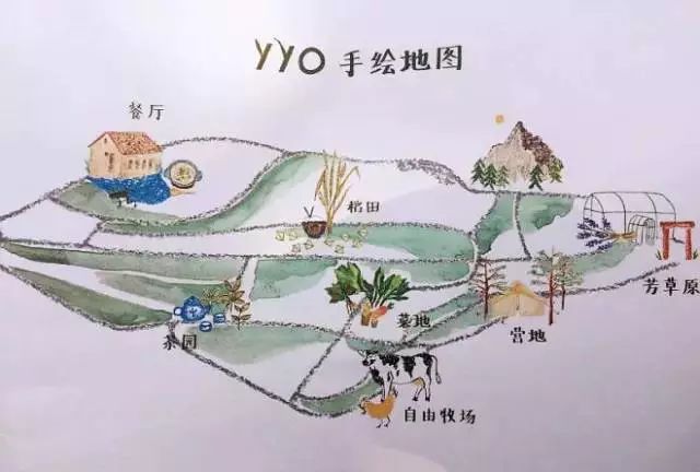 有机农业未来发展思路,有机农业的发展目标和成效