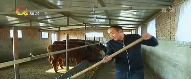 致富经养牛能手致富视频,致富经养牛一年赚10亿