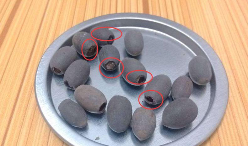 碗莲种子夏天可以种植吗,碗莲夏天开几次花