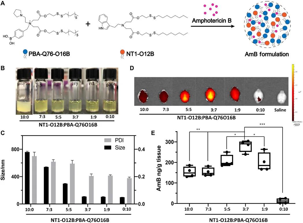 改善人类大脑记忆的药物,脑科学日报完整版