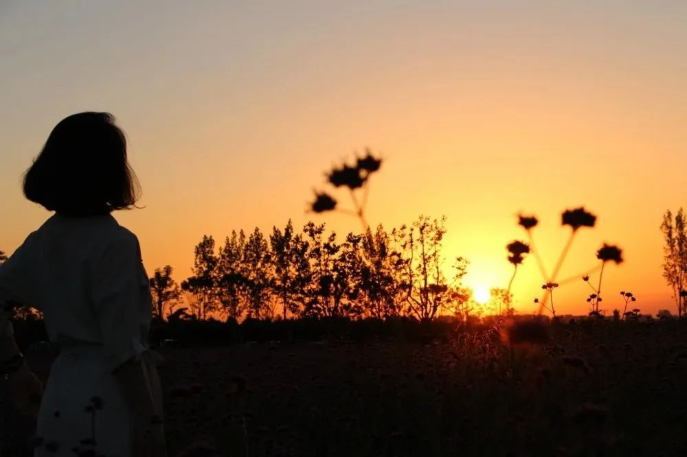 杜邑国家遗址公园,杜邑遗址公园和杜陵遗址公园