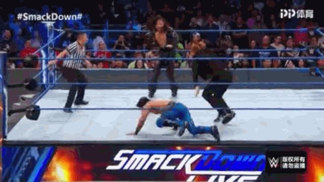 SD：小老麦职业生涯遭遇最大威胁！蛋妞居然被罗温血虐