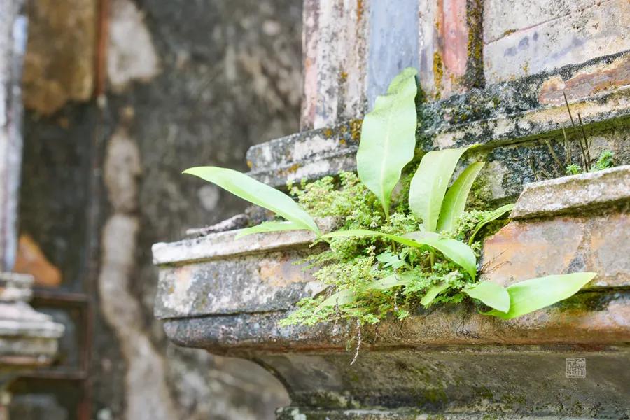 海南省文昌市符家宅,文昌市符家宅