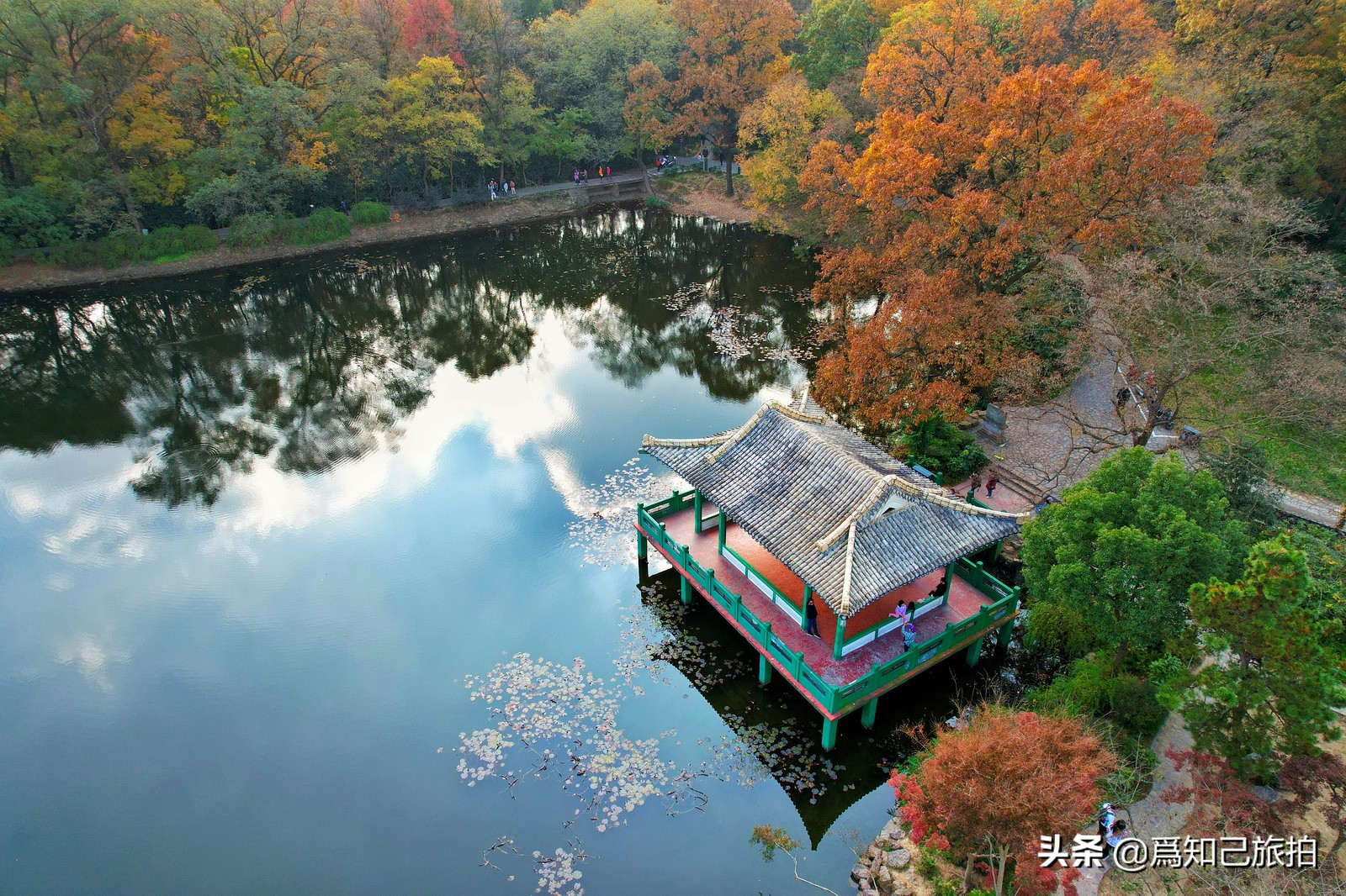 美在金陵文艺大咖秀,美在金陵梁梅