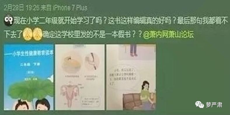 本想补上一堂性教育课，最后我学到了这么多