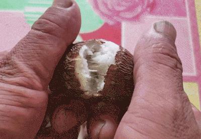 奉化芋头好吃还是荔浦芋头好吃,中国哪个地方的芋头最好吃