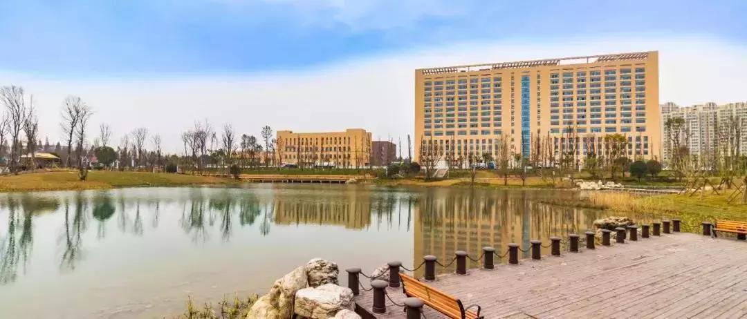 成都郫都区人民医院新院区,郫都区人民医院医疗水平