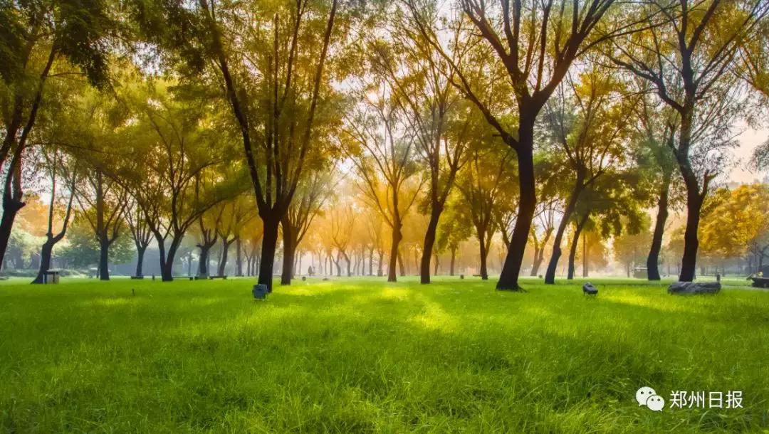 向全国推介郑州之惠济区：这里是山水惠济