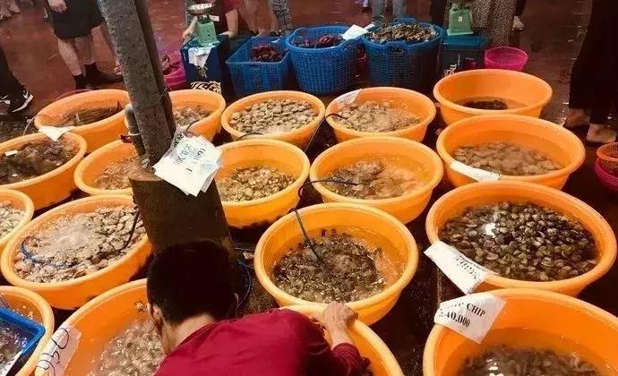 芜湖的人可以去哪外出游玩一天,安徽芜湖人能出去旅游吗