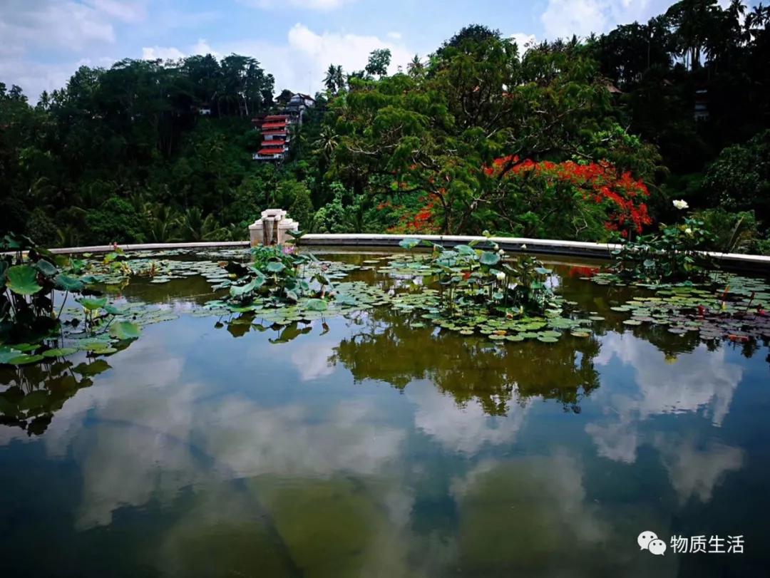 巴厘岛四季如夏吗,阳光明媚的巴厘岛