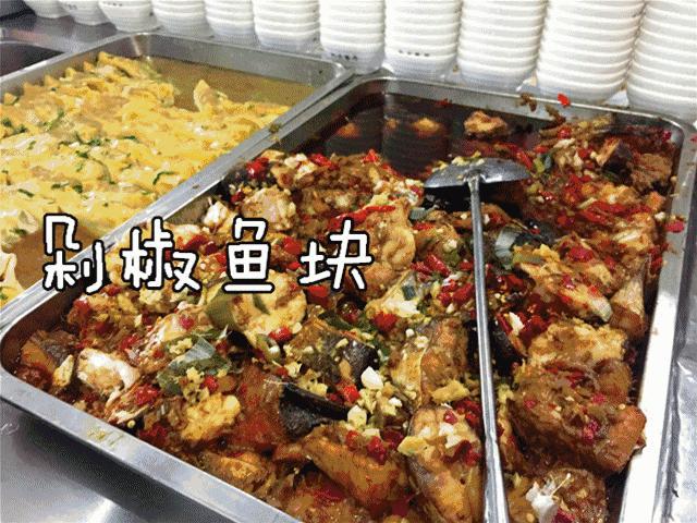 宝藏专业志愿填报,高考填报志愿不可错过的宝藏学校