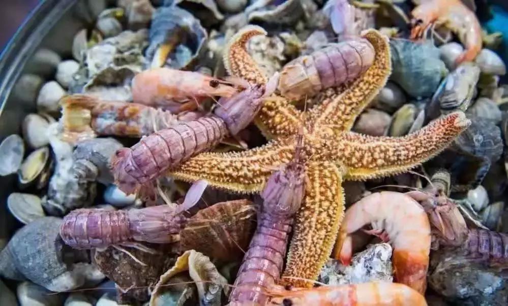 月圆中秋|来月坨岛度过难忘的中秋佳节吧