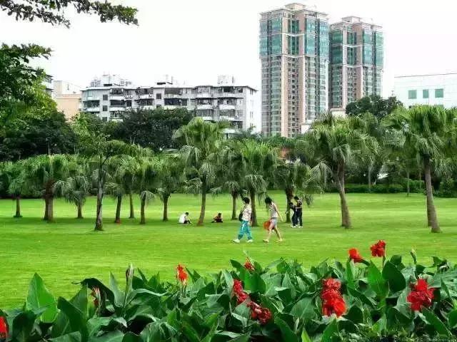 五一广东游玩攻略人少,五一广东免费的旅游景点