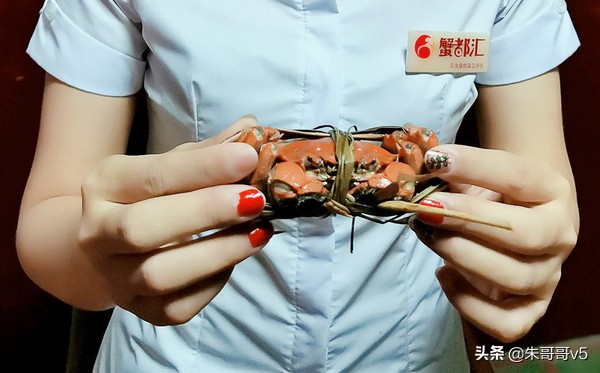 蟹都汇阳澄湖大闸蟹套餐,蟹都汇的大闸蟹不一般