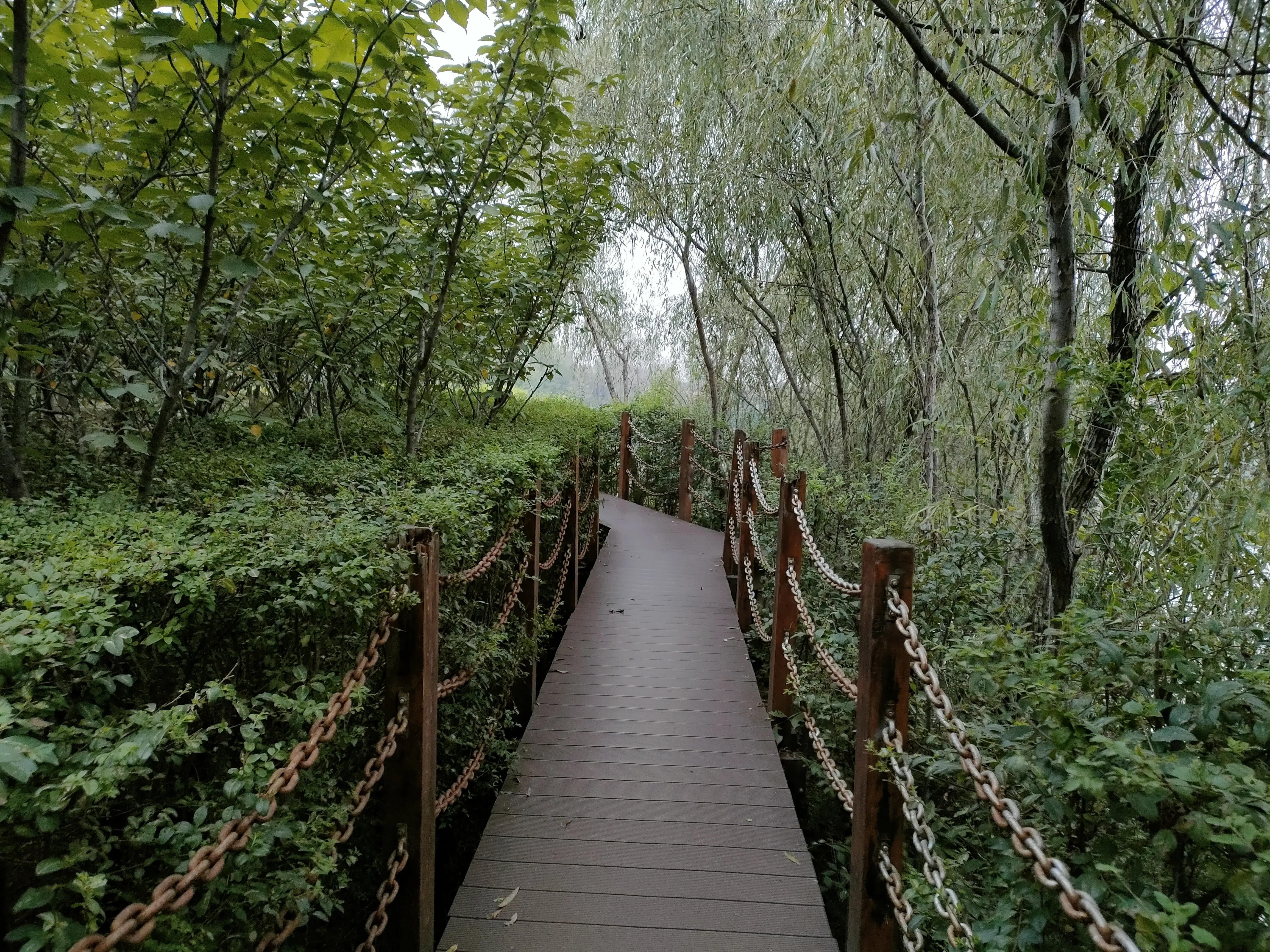 游西安曲江海洋极地公园,国庆去西安海洋极地公园