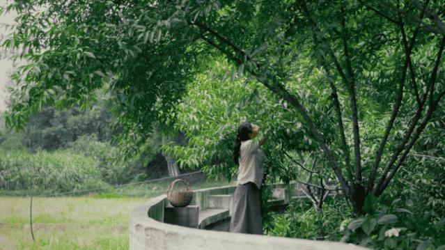 人骨子里喜欢的豪宅,中国人的骨子里喜欢的豪宅