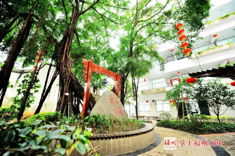 福州市三中教育集团有限公司,福州三中教育集团简介