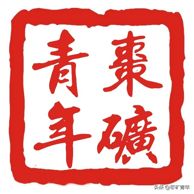 让最“青春”的绚丽花朵为田陈转型发展绽放