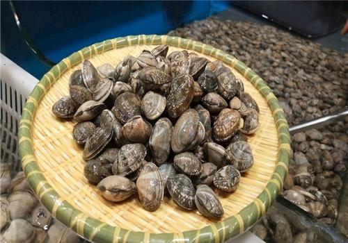 大厨教你一道蒜蓉花甲,大厨教你做花甲