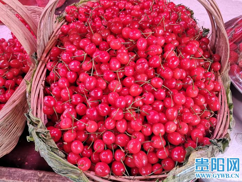樱桃新鲜上市早期价格比往年略高,樱桃上市60一斤