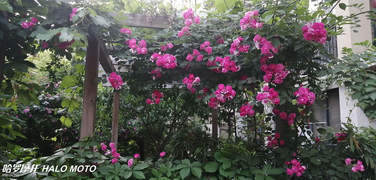 宝马摩托f750gs低配和高配的区别,宝马f750gs外观可以改成1250吗