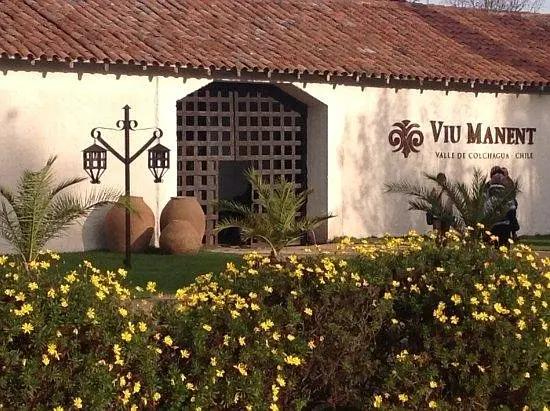 智利十大的酒庄排名榜最新,智利葡萄酒十大酒庄