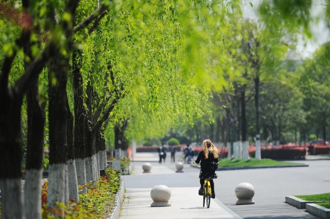 杭州美职学校风景,杭州美丽学校评选