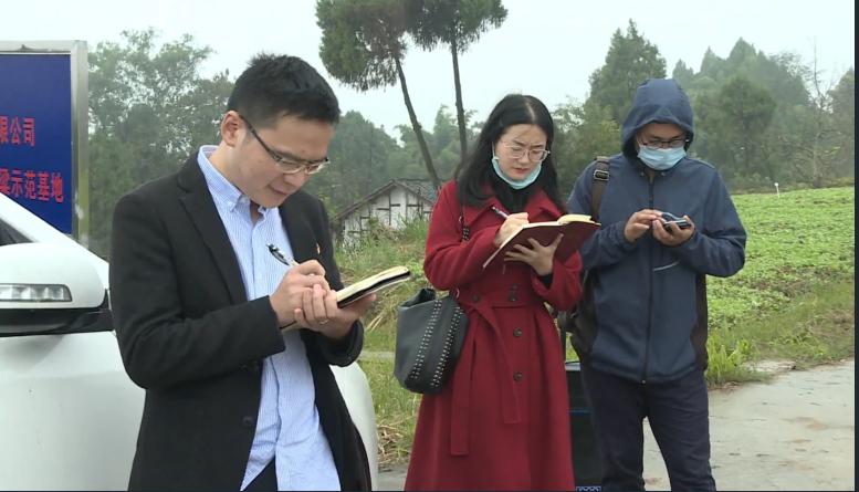 南充嘉陵区龙蟠,四川省南充市高坪区龙蟠镇