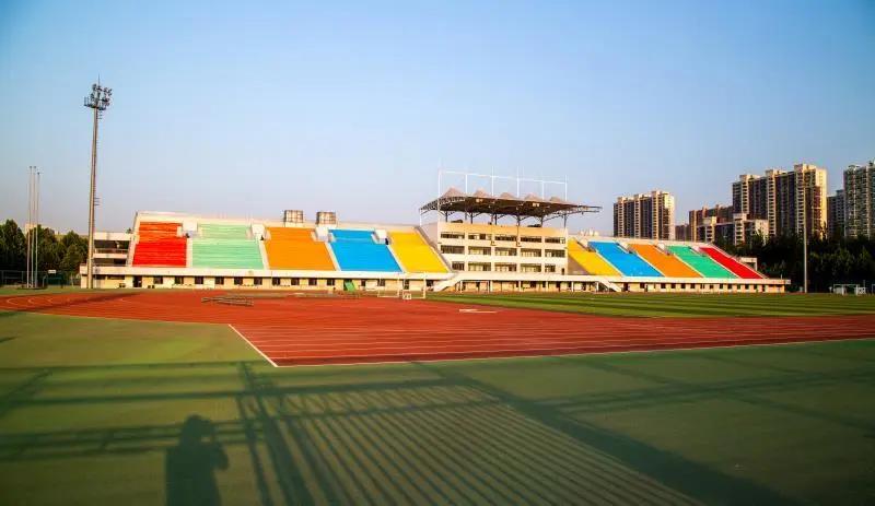 专业解读|体育教育、运动康复、运动训练、武术与民族传统体育