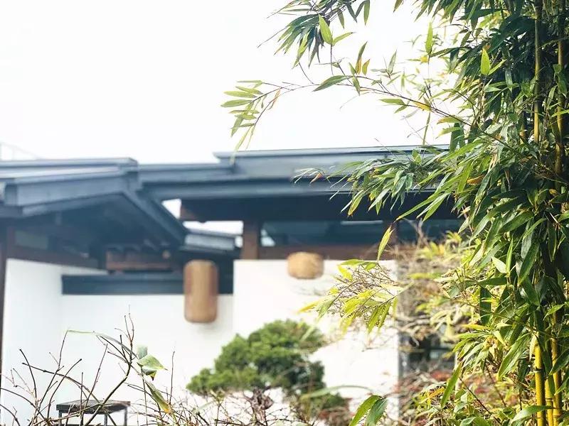 走进亮美嘉，感受光魅力